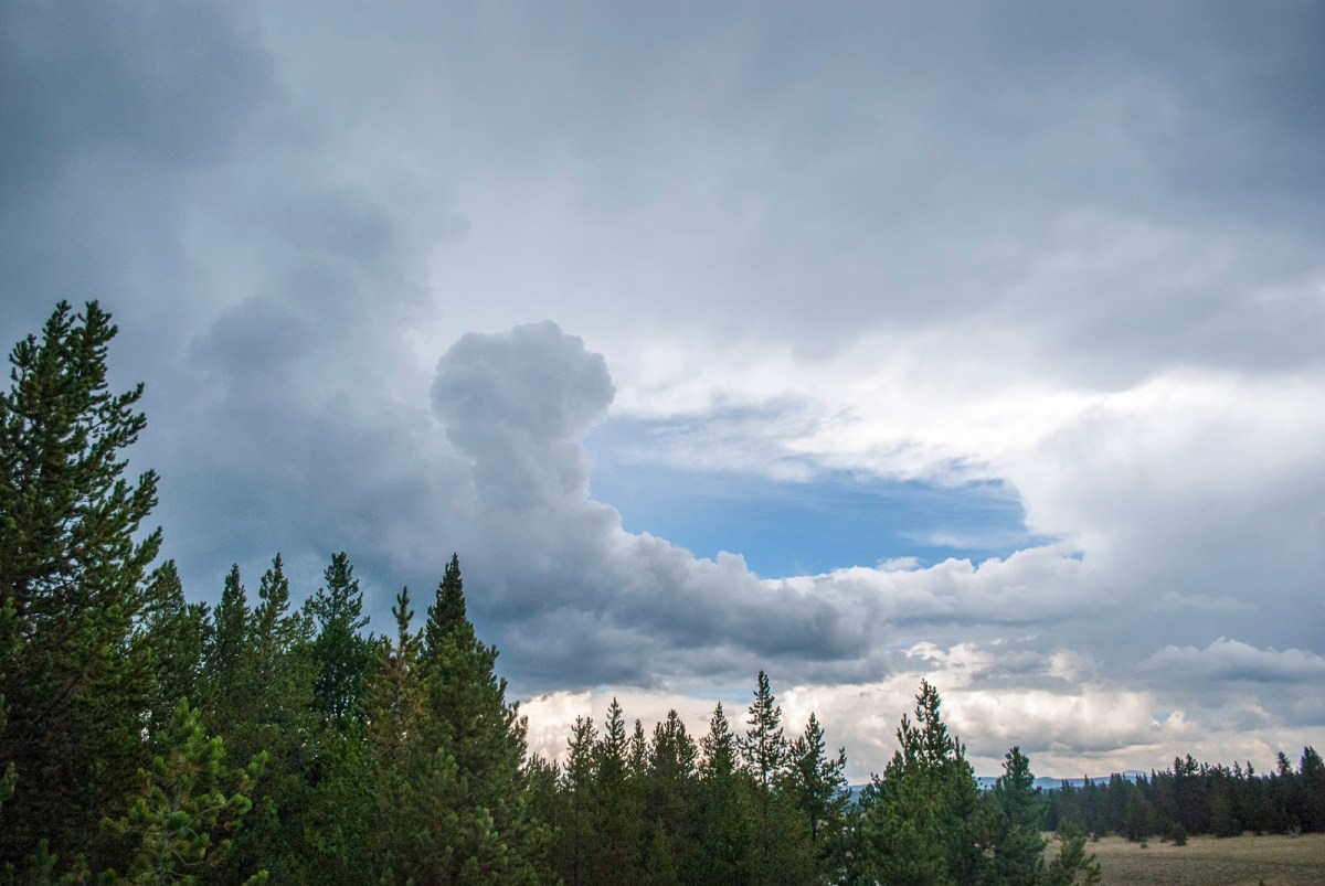 Yellowstone-157