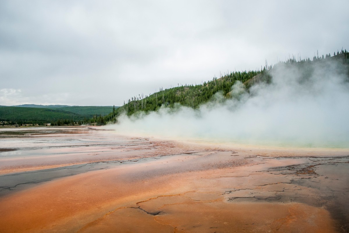 Yellowstone-178