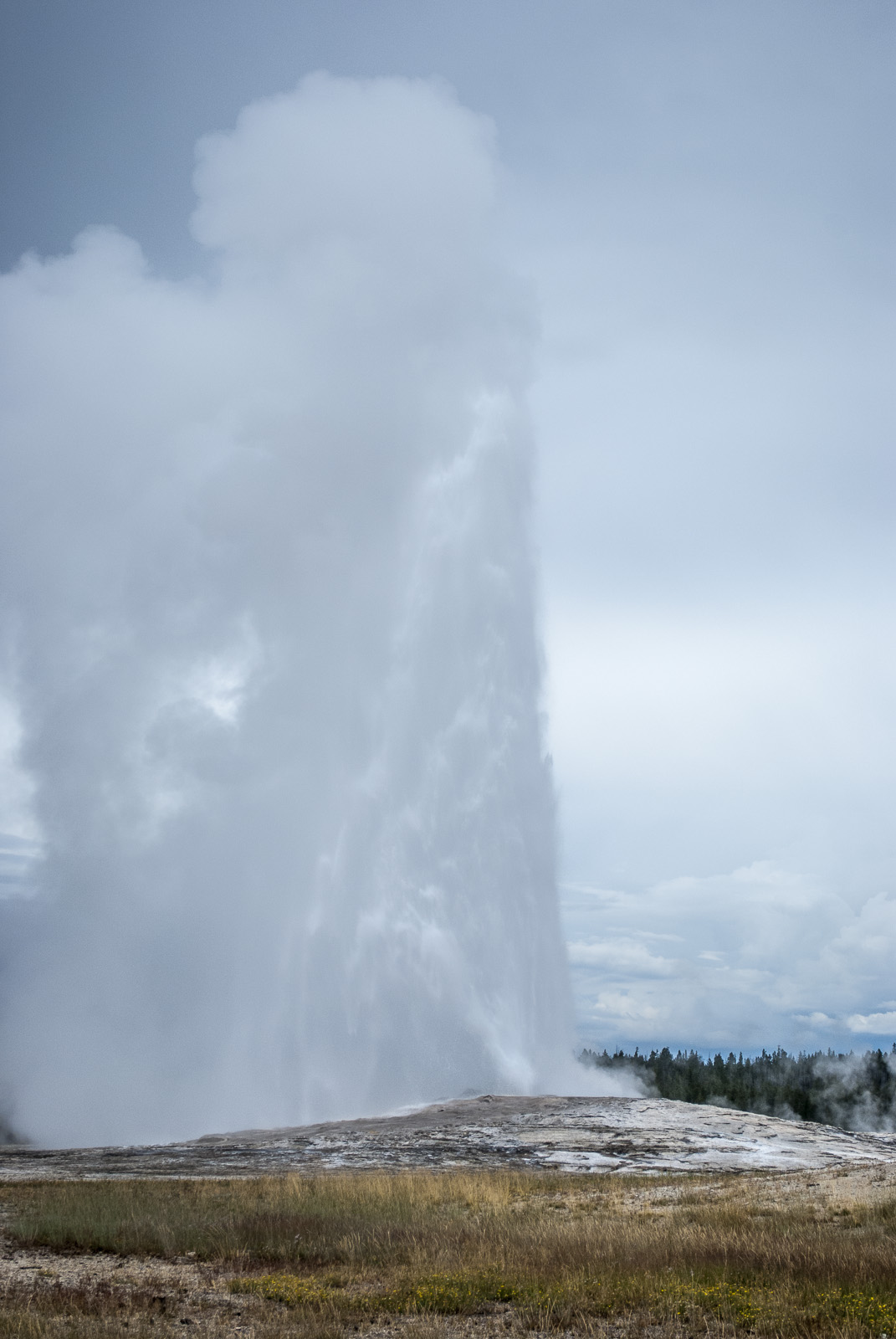 Yellowstone-211