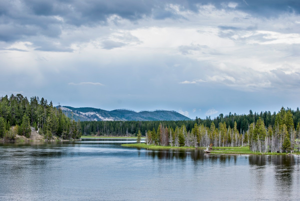 Yellowstone-235
