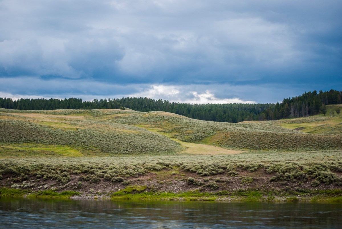 Yellowstone-265