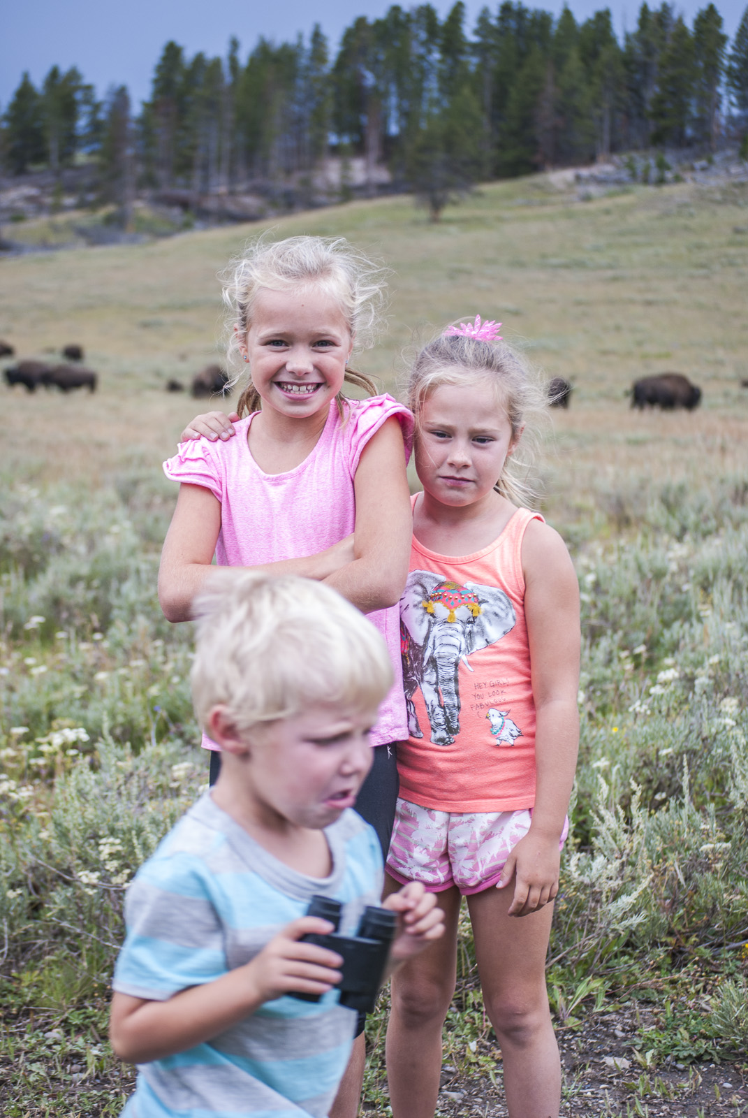 Yellowstone-273