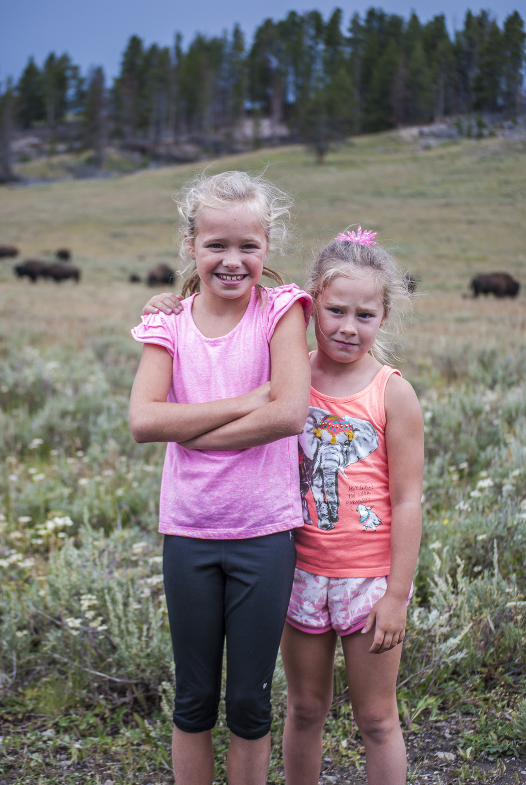 Yellowstone-274