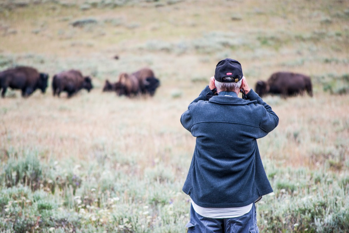 Yellowstone-283
