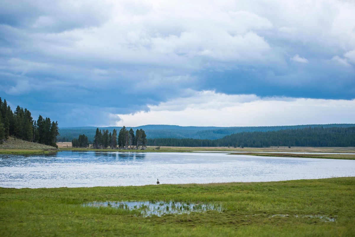 Yellowstone-286