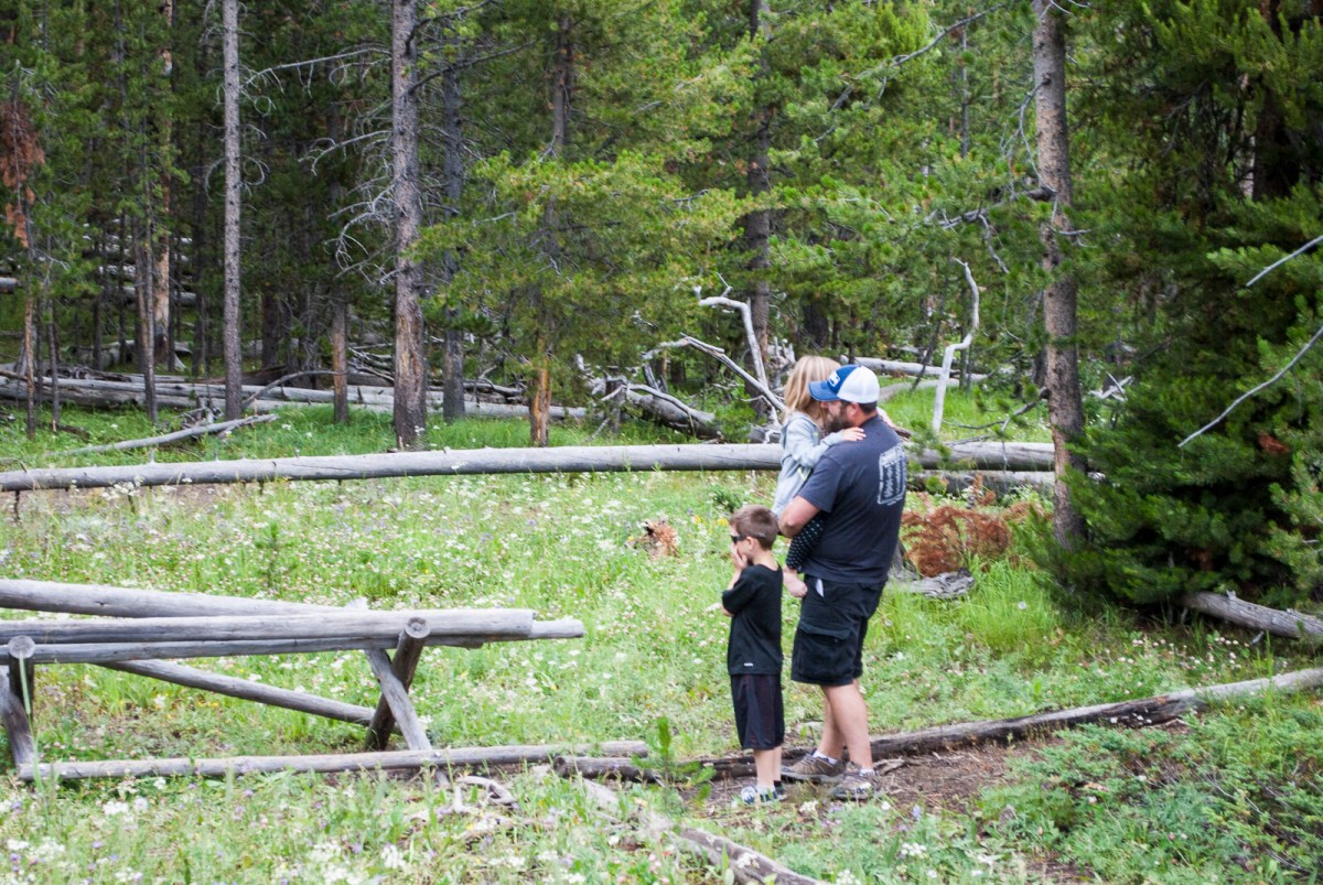 Yellowstone-296