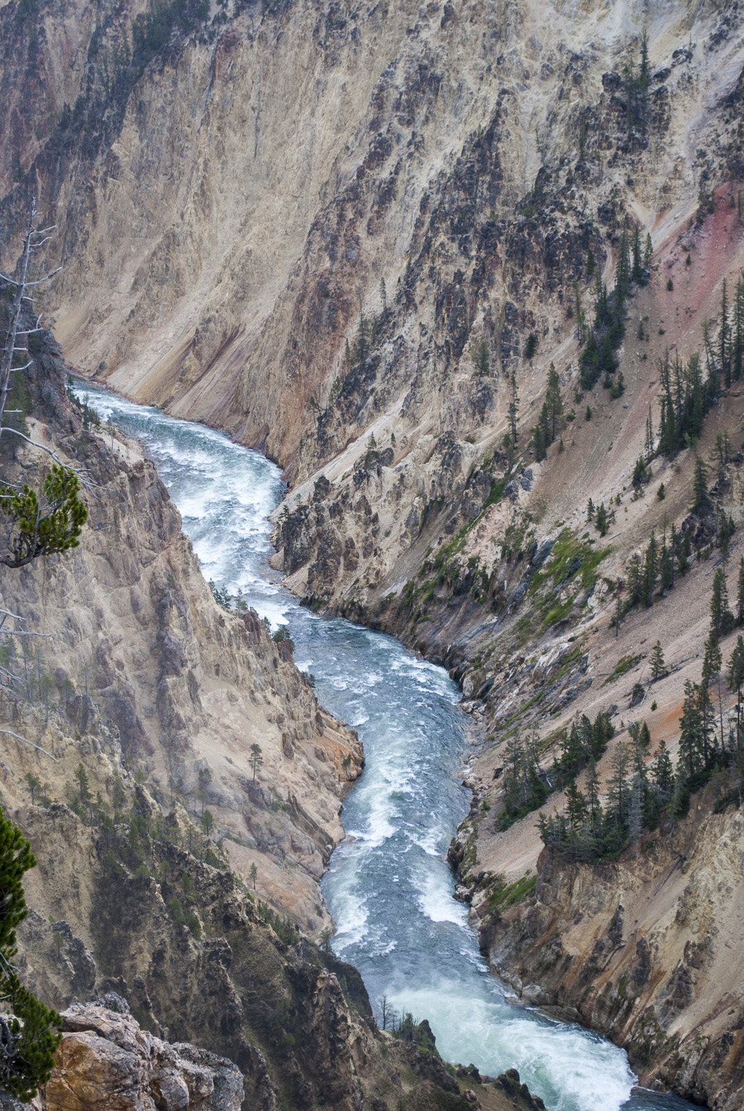 Yellowstone-298