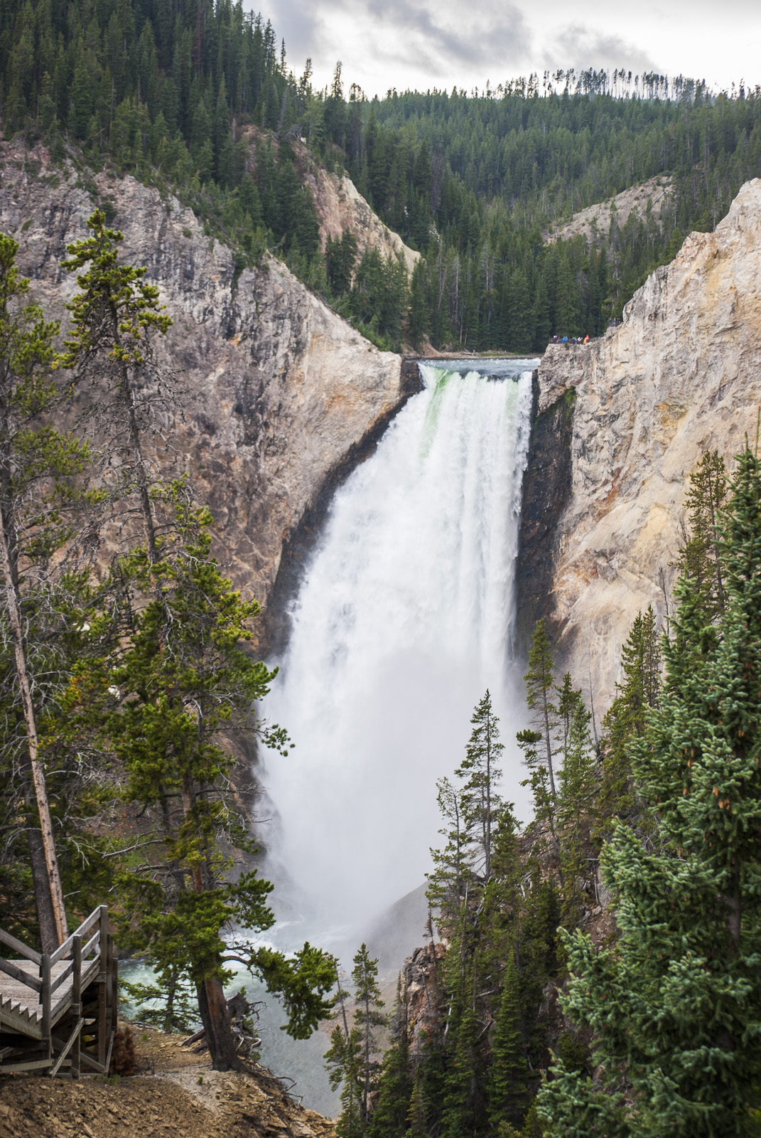 Yellowstone-309