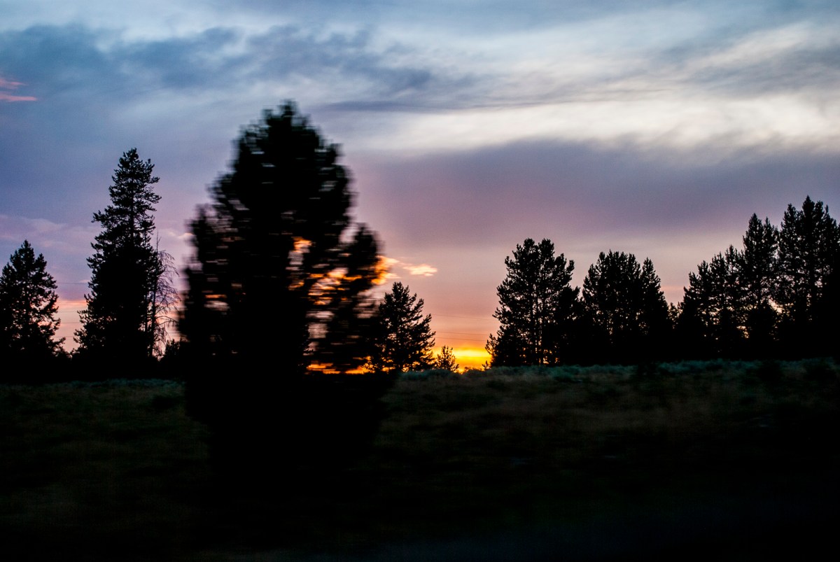 Yellowstone-328