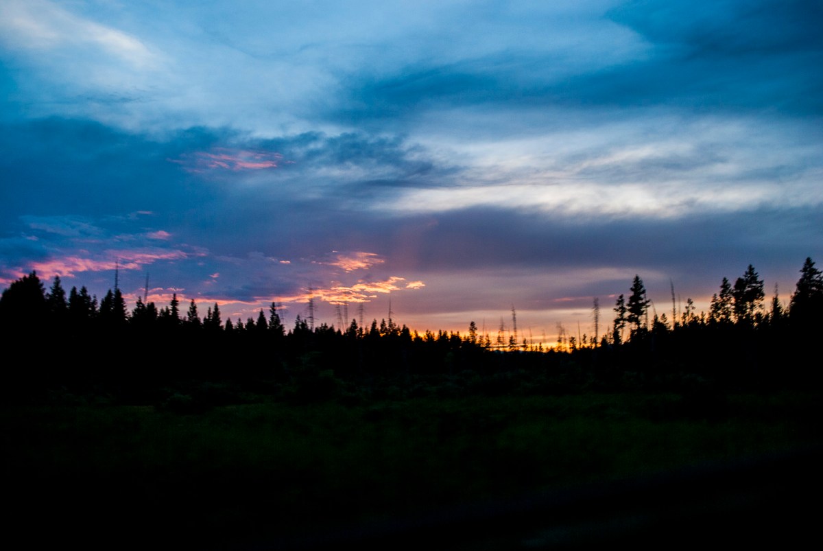 Yellowstone-331