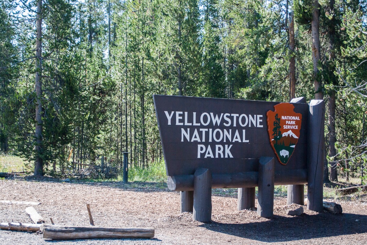 Yellowstone-56