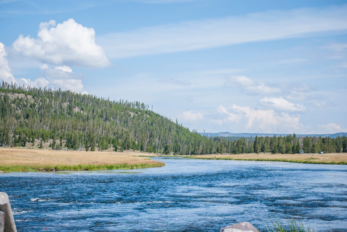 Yellowstone-74