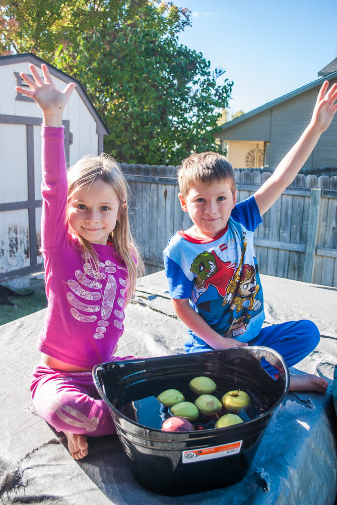 AppleBobbing-4