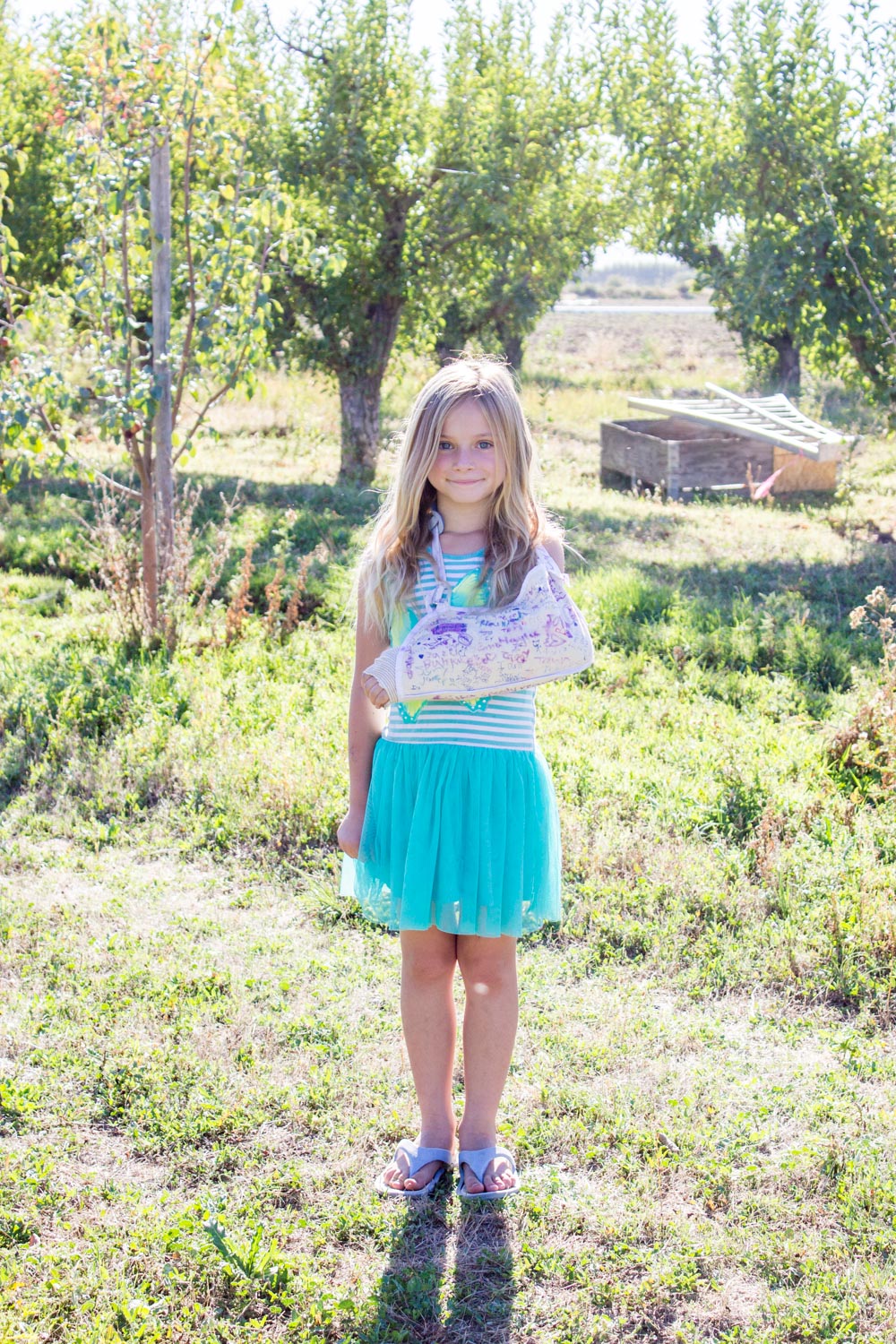 Orchard-18