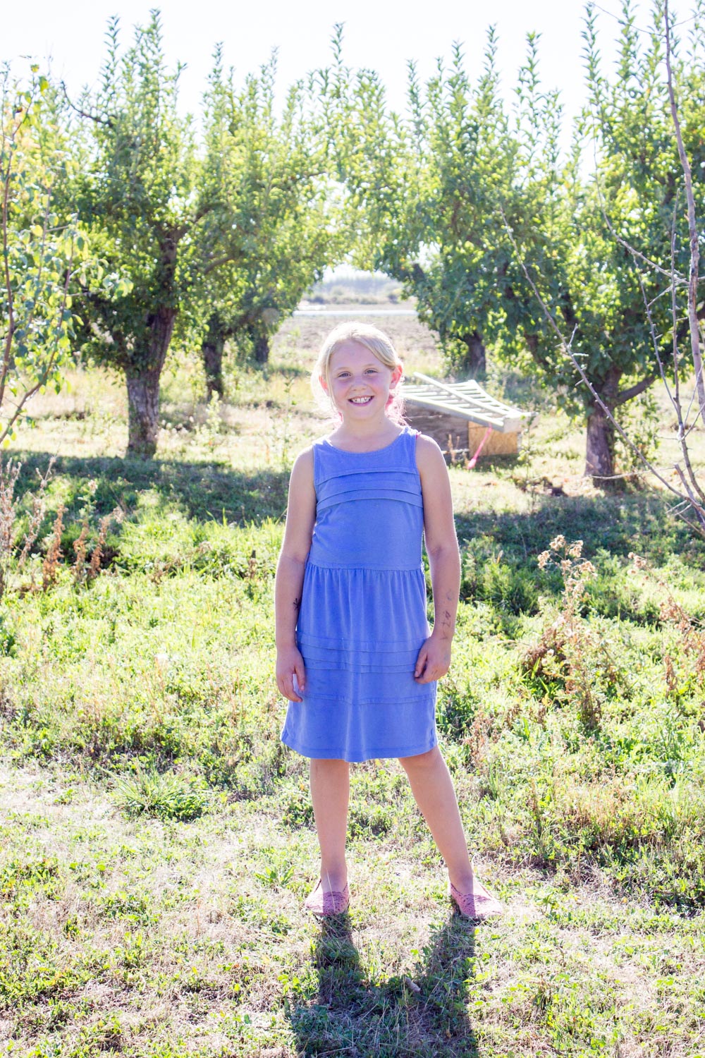 Orchard-19