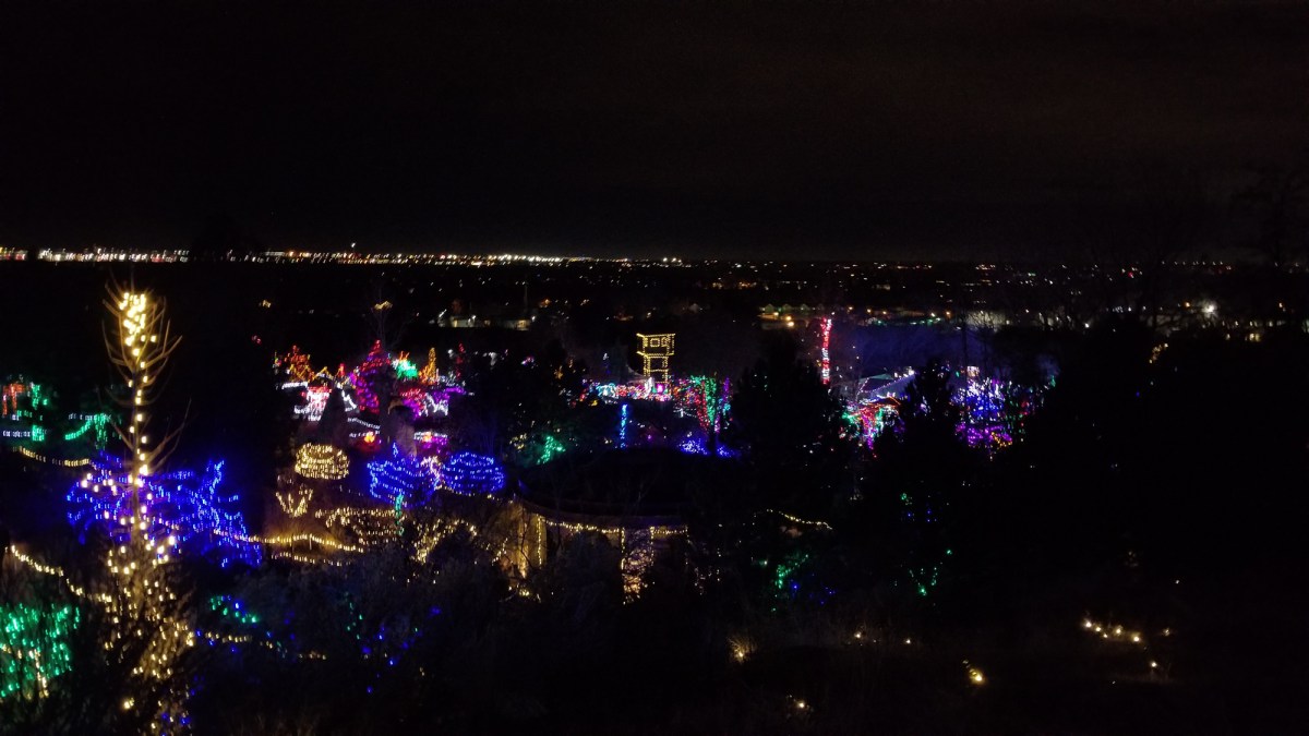 Botanical Gardens & Tubing-12