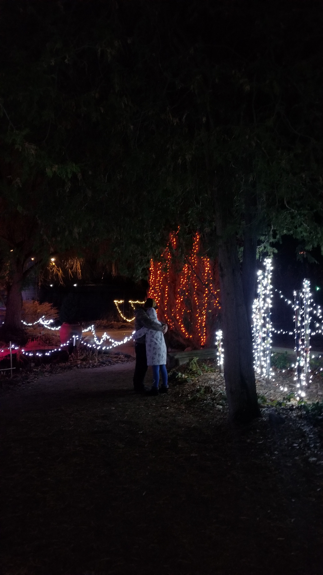 Botanical Gardens & Tubing-21