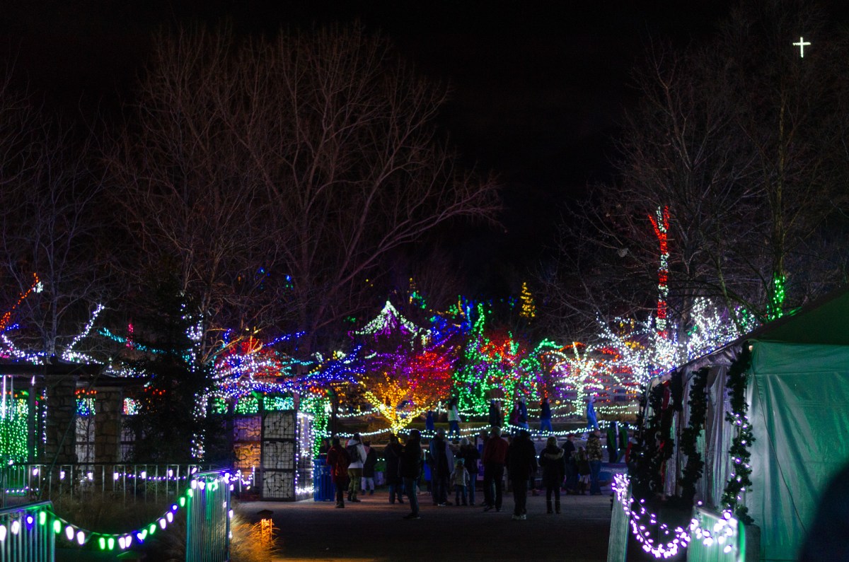 Botanical Gardens & Tubing-30