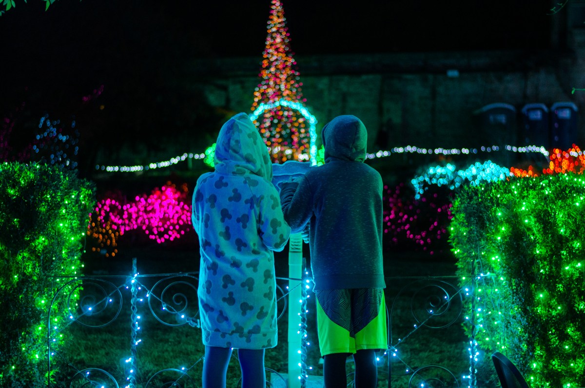 Botanical Gardens & Tubing-31