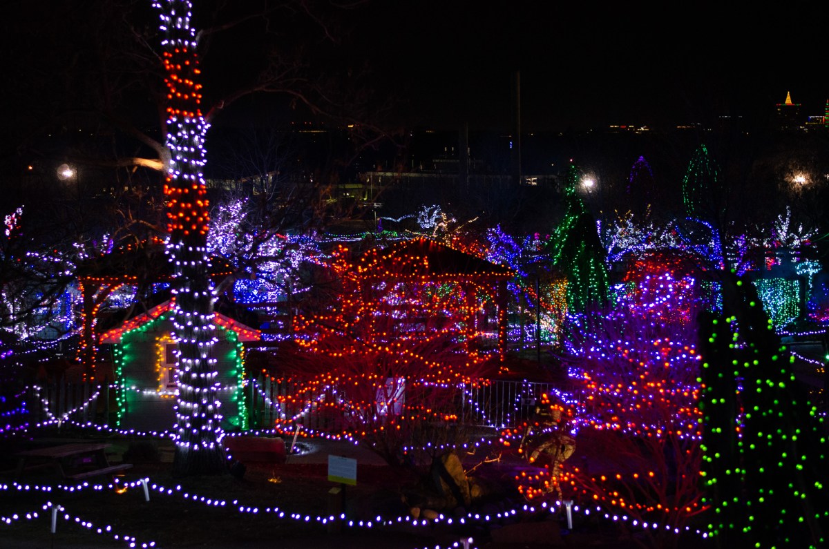 Botanical Gardens & Tubing-41