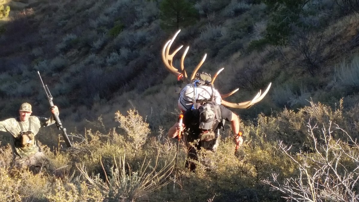 Elk Hunting-05