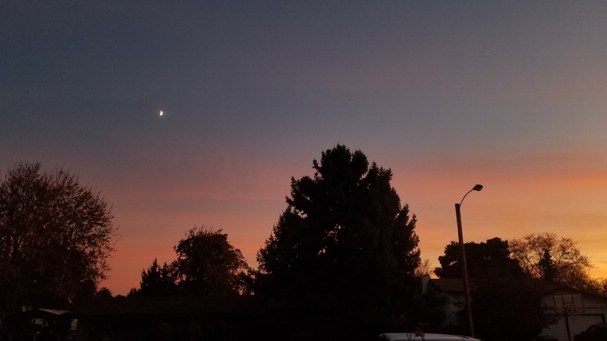 November Little Things-07