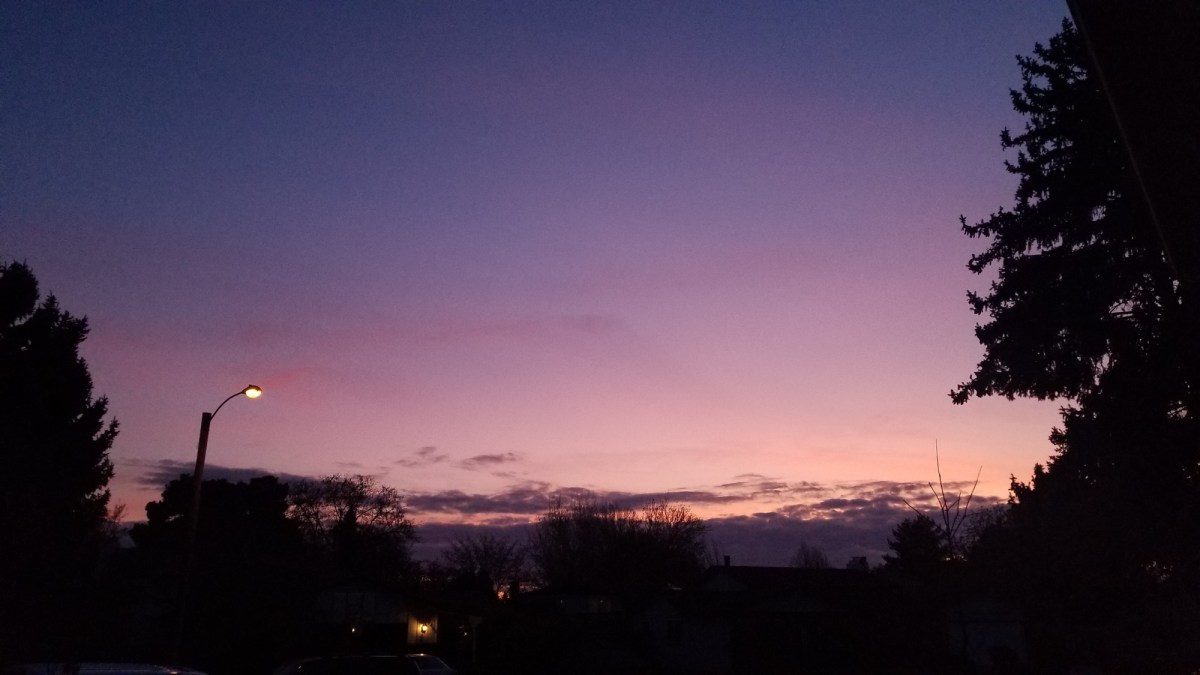 November Little Things-10